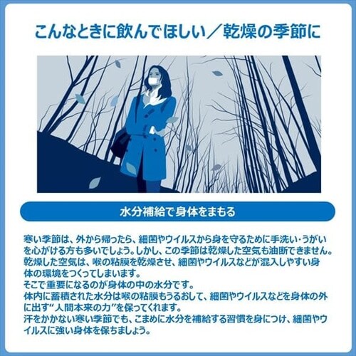 ��ː��� �y24�H�z�|�J���X�G�b�g �[���[ _20