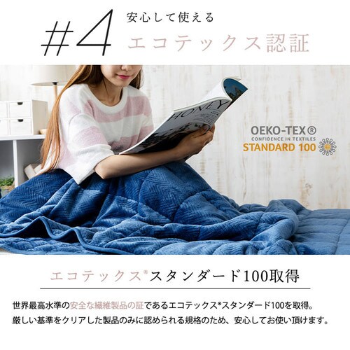 fondan �u�����P�b�g �V���O�� ���d�^�C�v �v���~�A���}�C�N���t�@�C�o�[ �V���o�[�O���[ _13