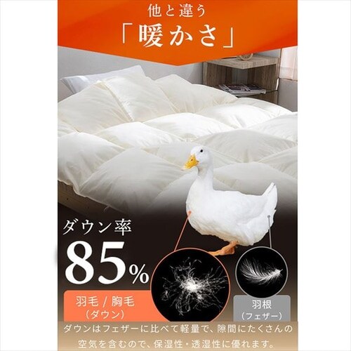 羽毛布団 ダブル フランス産ホワイトダックダウン85% 1.4kg 無地 ベージュ【直送】 _4