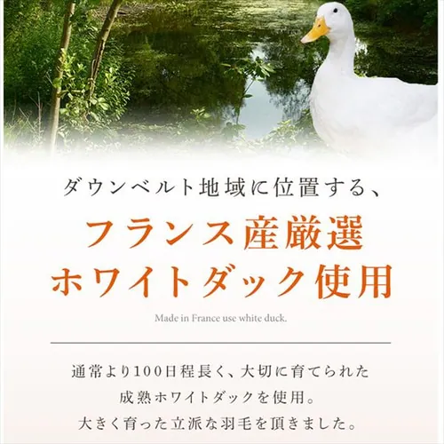 羽毛布団 ダブル フランス産ホワイトダックダウン85% 1.4kg 無地 ベージュ【直送】 _6