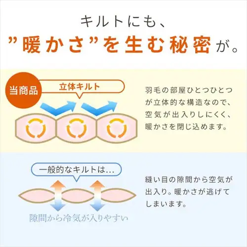 羽毛布団 ダブル フランス産ホワイトダックダウン85% 1.4kg 無地 ベージュ【直送】 _9