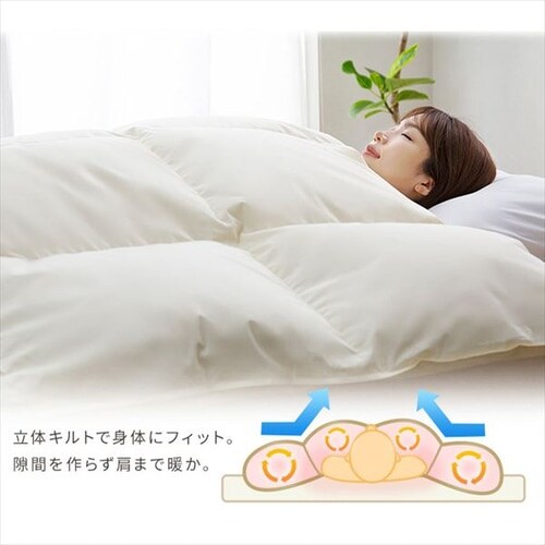 羽毛布団 ダブル フランス産ホワイトダックダウン85% 1.4kg 無地 ベージュ【直送】 _10