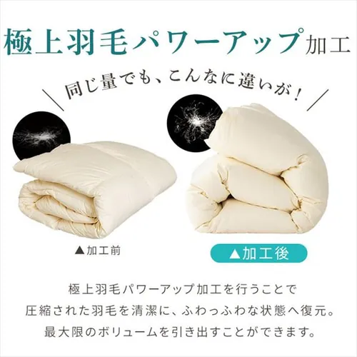 羽毛布団 ダブル フランス産ホワイトダックダウン85% 1.4kg 無地 ベージュ【直送】 _14