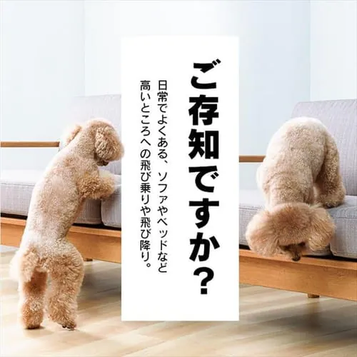 �y�b�g�p�X���[�v �h�b�O�X�e�b�v �O���[_2