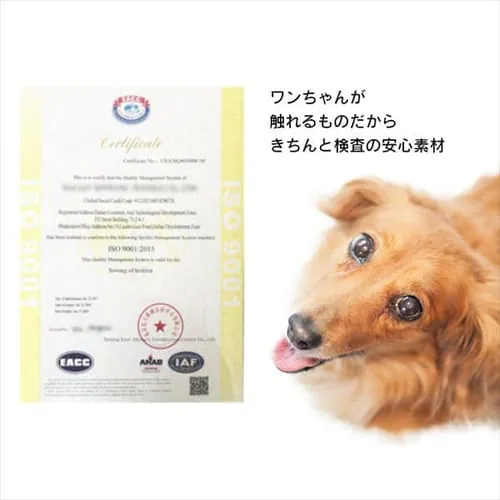 �y�b�g�p�X���[�v �h�b�O�X�e�b�v �O���[_11