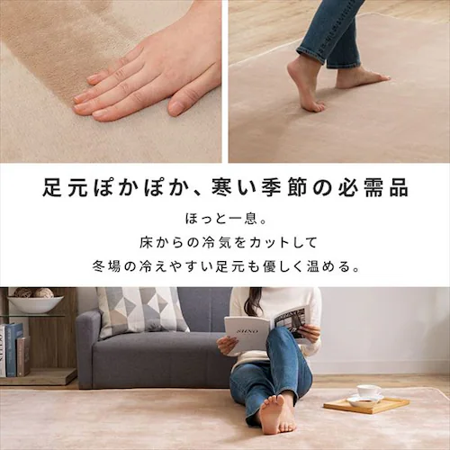 TEKNOS ���O�{2���p �J�[�y�b�g 2�_�Z�b�g �x�[�W�� HCMF-IR200 _3