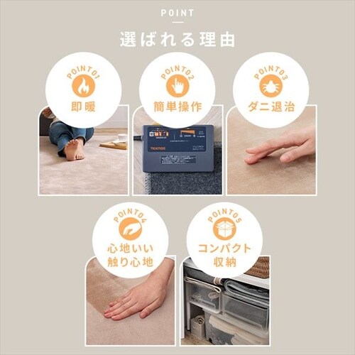 TEKNOS ���O �{3���p�J�[�y�b�g 2�_�Z�b�g �x�[�W�� HCMF-IR300 _4