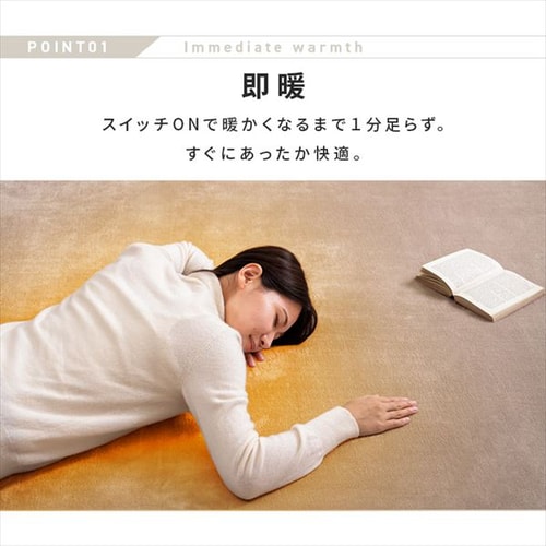 TEKNOS ラグ ＋3畳用カーペット 2点セット ベージュ HCMF-IR300