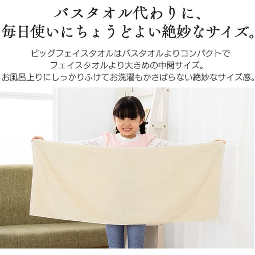 メール便】【2枚セット】ビッグフェイスタオル 全18色【代引き不可