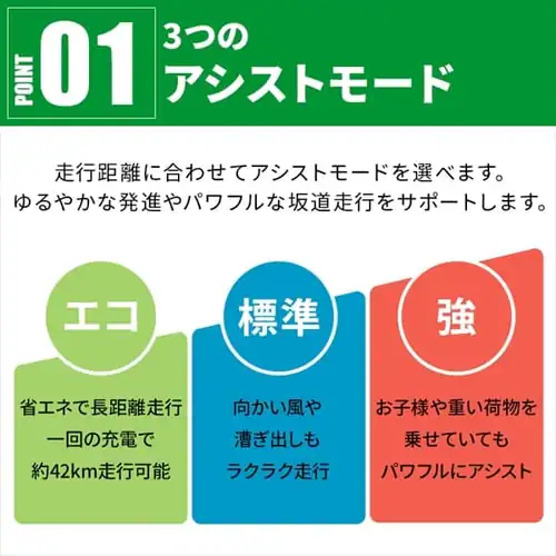 電動自転車 折り畳み 20インチ 6段 8AH TDN-206XーBK ブラック【直送】【時間指定不可】【代引き不可】_4