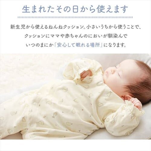 �˂�˃N�b�V���� �X�^�[2 �O���[_12