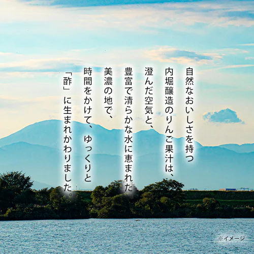 【6本】 りんご酢 内堀醸造 美濃有機純りんご酢 360ml _2