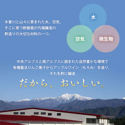 【6本】 りんご酢 内堀醸造 美濃有機純りんご酢 360ml _6