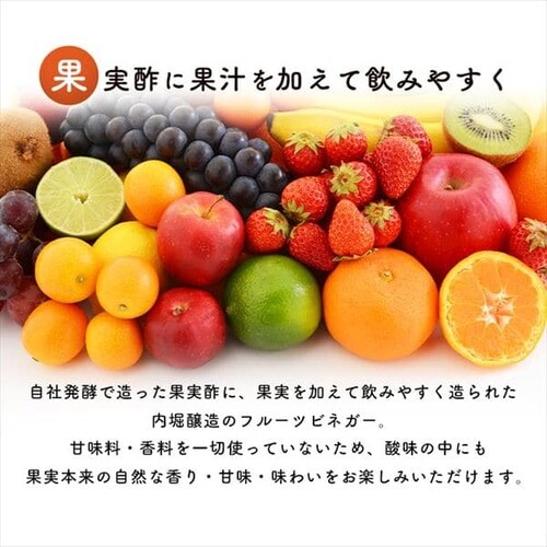 �t���[�c�r�l�K�[ �L�@�����S�̐| 1L _12