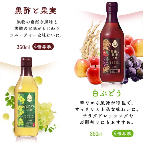 �y3�{�Z�b�g�z�t���[�c�r�l�K�[360ml FV-24A �y�v���U�}�[�P�b�g�z_9