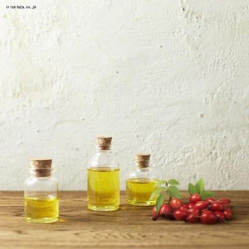 ���j���[�o �y3�z���b�N�X �v���~�A�� �{�^�j�t�B�[�N �_���[�W���y�A �V�����v�[ �߂����p 350g_5