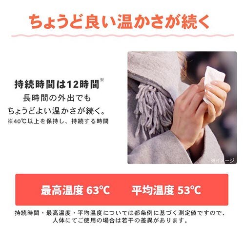 240枚】 カイロ 貼る レギュラーサイズ 7195411 │アイリスオーヤマ