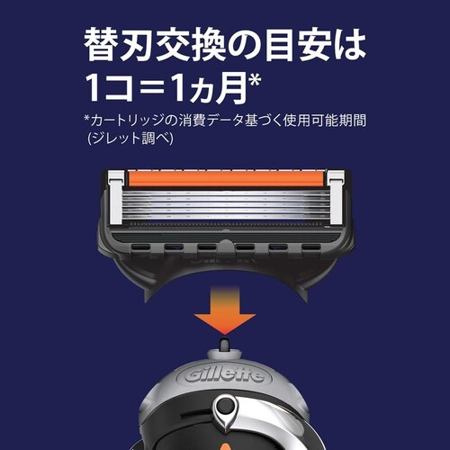 Gillette プログライドマニュアル替刃12B_4
