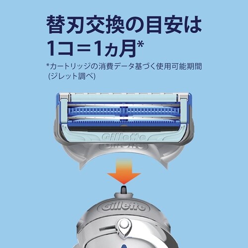 Gillette �X�L���K�[�h�p���[�֐n8B_5