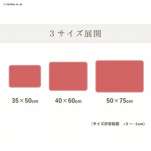 イケヒコ 吸水 速乾 足元サラッとバスマット 35×50cm ブルー 【代引き