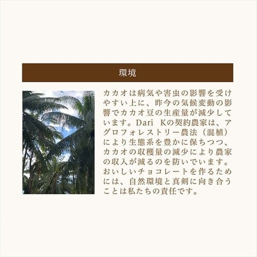 Dari K �J�J�I�T���h�N�b�L�[ 12������ Bean to bar�yTD�z �y������s�z_7