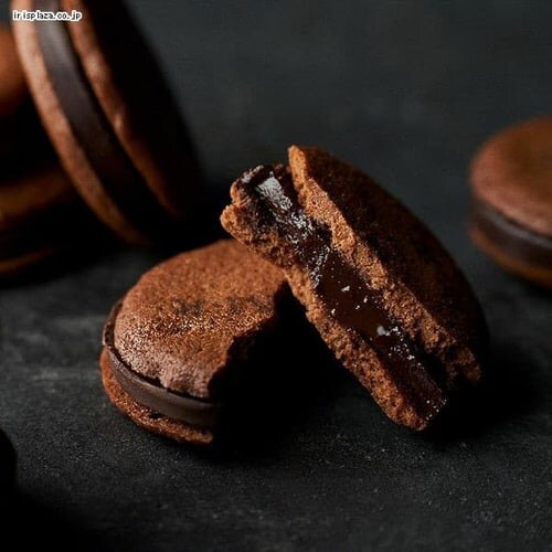 Dari K �J�J�I�T���h�N�b�L�[ 6������ �_�[�N�y������s�z_3