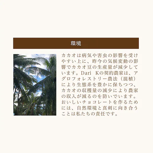 カシューチョコ(箱入り) 【時間指定不可】【代引き不可】_7