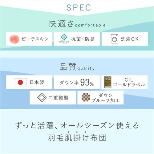 �|���z�c �V���O�� �H�� WDD93�� ���Y �y�C�Y���[�s���N _1