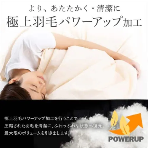 掛け布団 シングル 羽毛 WGD93% 国産 ペイズリーブルー _9