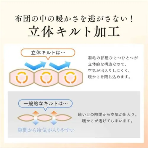 掛け布団 シングル 羽毛 WGD93% 国産 ペイズリーブルー _17