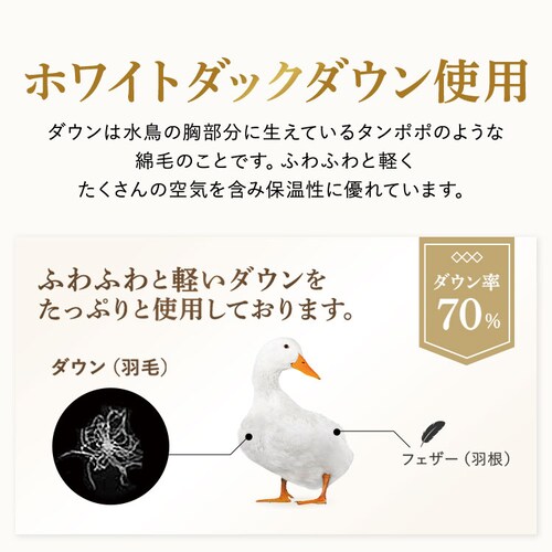 �|���z�c �V���O�� �H�� �n���K���[�YWDD70�� ���Y ���a���� �u���[_7