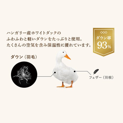 �|���z�c �V���O�� �H�� �n���K���[�YWDD93��  ���a���� �s���N_9