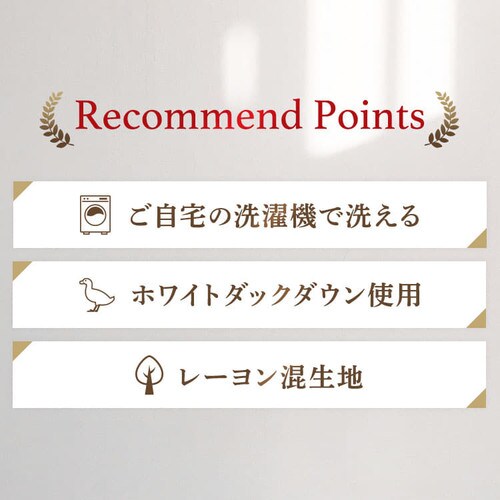 �|���z�c �V���O�� �H�� WDD85% ���[���� ���a���� �u���[_5