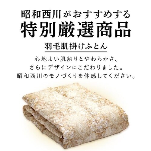 �|���z�c �V���O�� �H�� WDD70% ���a���� �x�[�W��_2