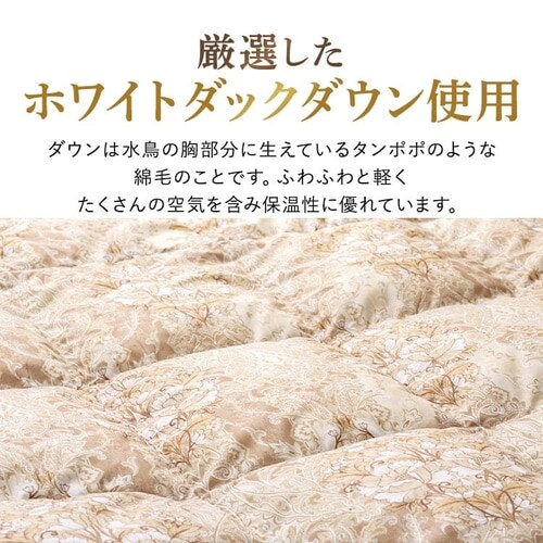 �|���z�c �V���O�� �H�� WDD70% ���a���� �x�[�W��_9