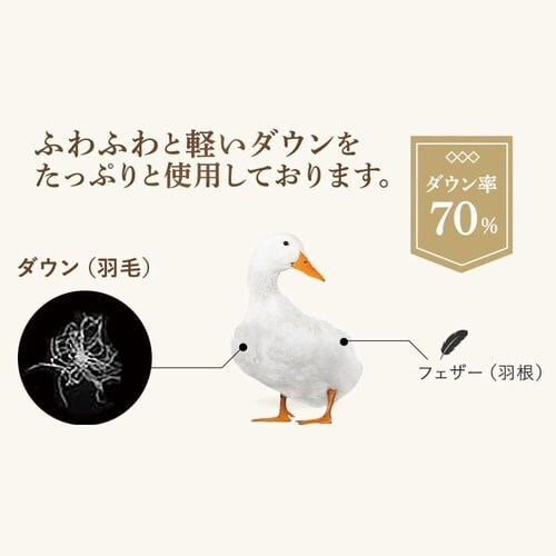 �|���z�c �V���O�� �H�� WDD70% ���a���� �x�[�W��_11