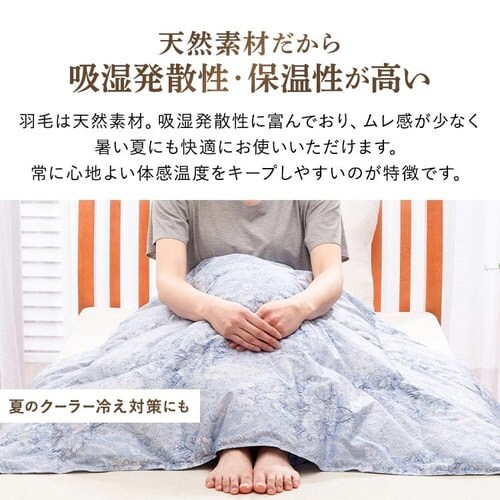 �|���z�c �V���O�� �H�� WDD70% ���a���� �x�[�W��_14