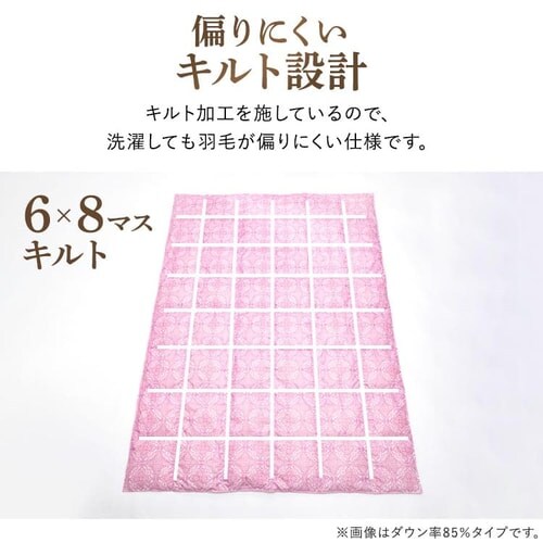 �|���z�c �V���O�� �H�� WDD70% ���a���� �x�[�W��_15