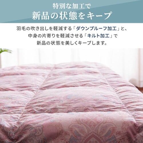 �y2���Z�b�g�z�|���z�c �V���O�� �H�� WDD90�� �y�C�Y���[�s���N�~�y�C�Y���[�u���[_12