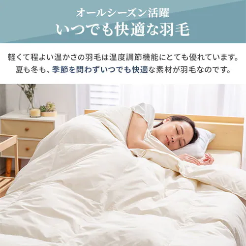 �y2���Z�b�g�z�|���z�c �V���O�� �H�� WDD90�� �y�C�Y���[�s���N�~�y�C�Y���[�u���[_25