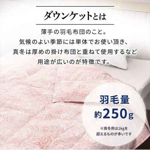 ダウンケット 掛け布団 シングル 羽毛 WDD85% ベージュ西川_2