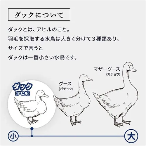 ダウンケット 掛け布団 シングル 羽毛 WDD85% ベージュ西川_4