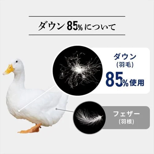 ダウンケット 掛け布団 シングル 羽毛 WDD85% ベージュ西川_6