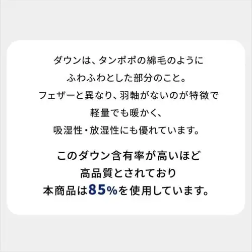 ダウンケット 掛け布団 シングル 羽毛 WDD85% ベージュ西川_7