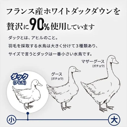 掛け布団 シングル 羽毛 WDD90% ピンク 昭和西川_5