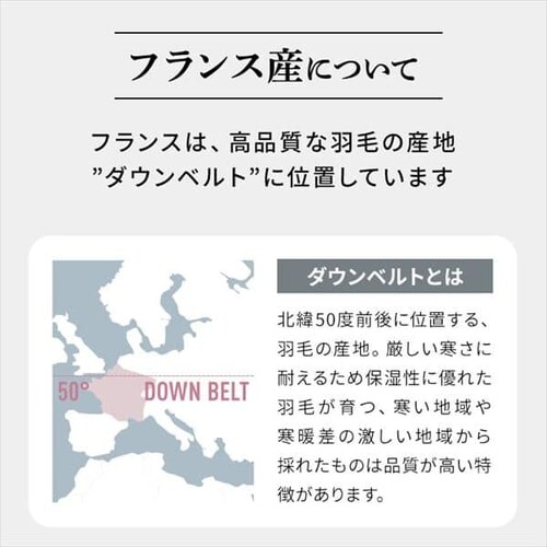 掛け布団 シングル 羽毛 WDD90% ピンク 昭和西川_6