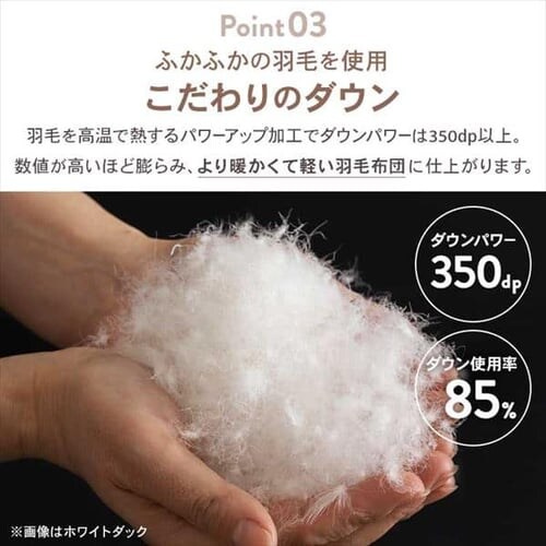 �y2���Z�b�g�z�|���z�c �V���O�� �H�� SDD85% FRFT-85 �S3�F_8