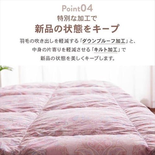 �y2���Z�b�g�z�|���z�c �V���O�� �H�� SDD85% FRFT-85 �S3�F_13