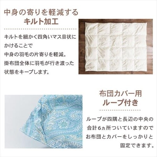 �y2���Z�b�g�z�|���z�c �V���O�� �H�� SDD85% FRFT-85 �S3�F_15