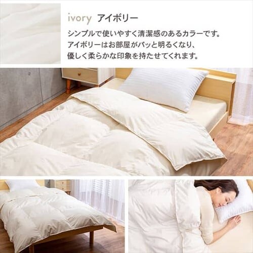 �y2���Z�b�g�z�|���z�c �V���O�� �H�� SDD85% FRFT-85 �S3�F_19